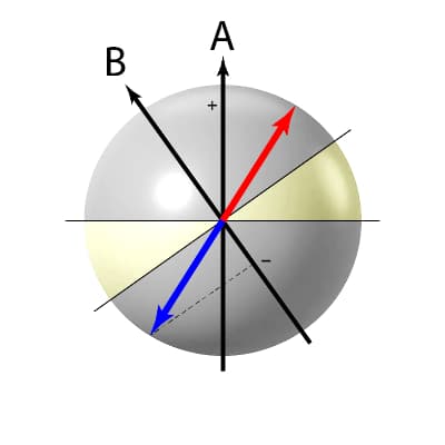 fig. 10 C